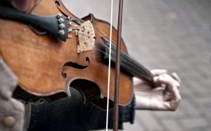 Violin for Ceremonies