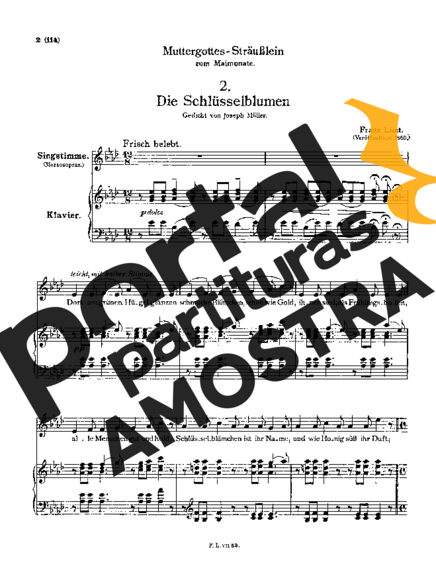 Franz Liszt  partitura para Piano