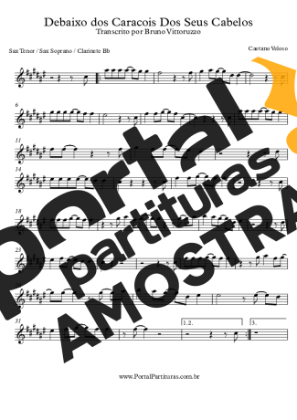 Roberto Carlos Debaixo Dos Caracóis Dos Seus Cabelos partitura para Clarinete (Bb)